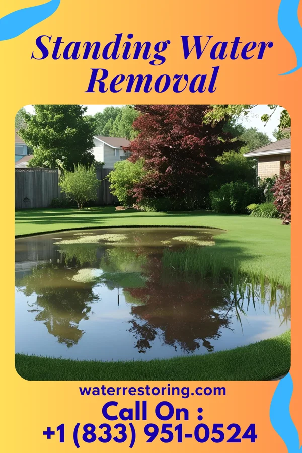 Standing Water Removal in Plantation, FL